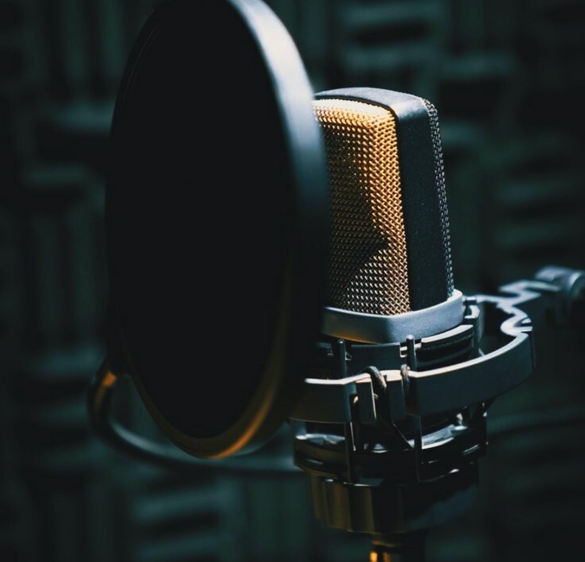 Microphone à condensateur avec filtre anti-pop